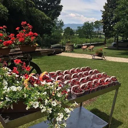 Agriturismo Al Colle Del Ciliegio Alloggio per agriturismo Rovolon